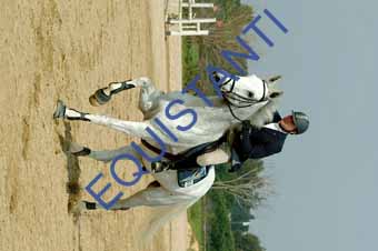 DSCF0939