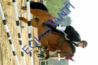 DSCF0946