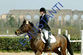 DSCF0950