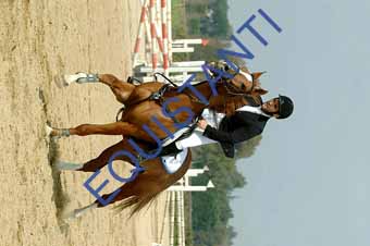 DSCF0968