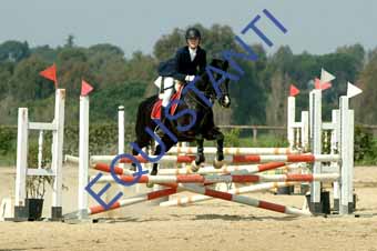 DSCF0983