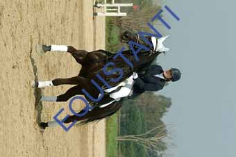 DSCF0992