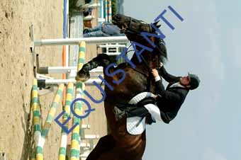 DSCF1008