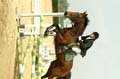 DSCF0878