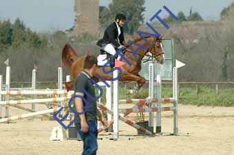 DSCF1145
