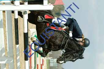 DSCF1157