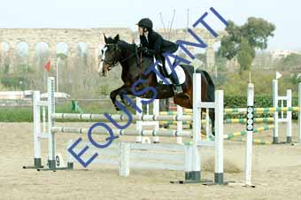 DSCF1196