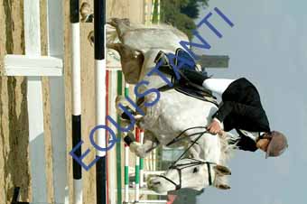 DSCF1202