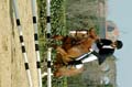 DSCF1148
