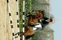 DSCF1166