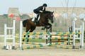 DSCF1169