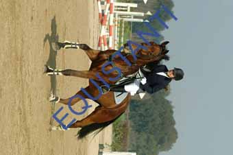 DSCF0613