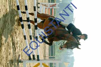 DSCF0638
