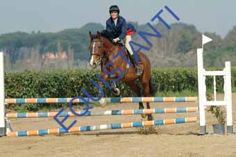 DSCF0639