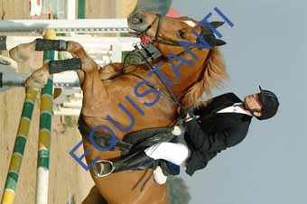 DSCF0644