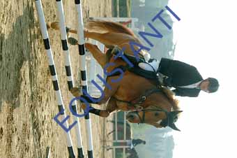 DSCF0645