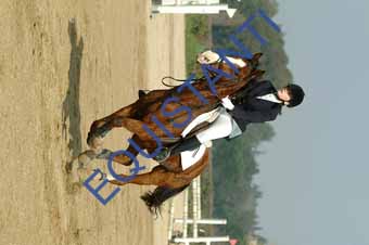 DSCF0647