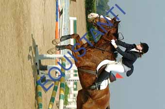 DSCF0648