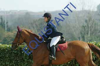 DSCF0667