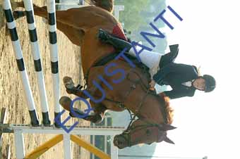 DSCF0671