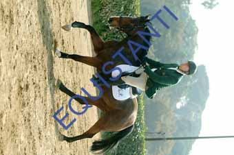 DSCF0685