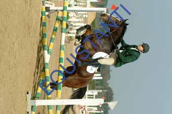 DSCF0688