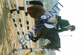 DSCF0689