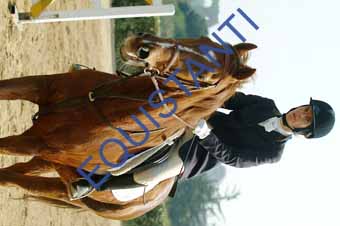 DSCF0700