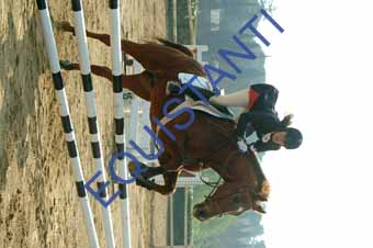 DSCF0703