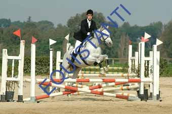 DSCF0716