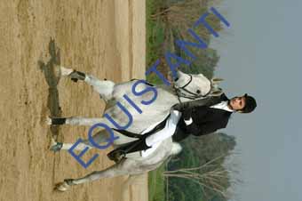 DSCF0717