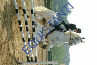 DSCF0727