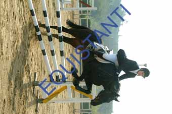 DSCF0735