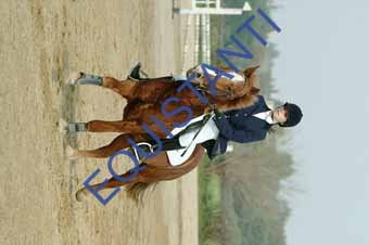 DSCF0742