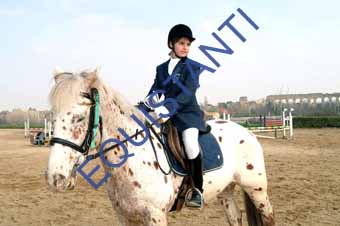 DSCF0749