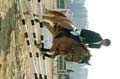 DSCF0645