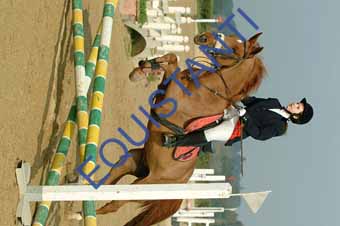 DSCF0570