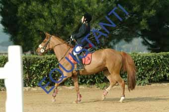 DSCF0573