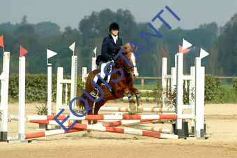 DSCF0585