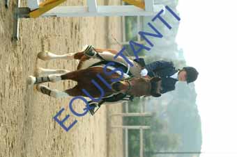 DSCF0591