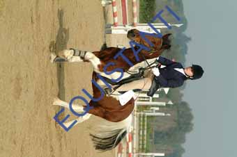 DSCF0595