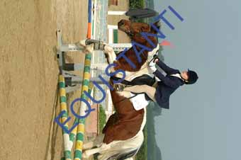 DSCF0596