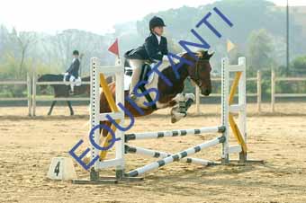 DSCF0597