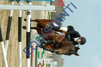 DSCF1304