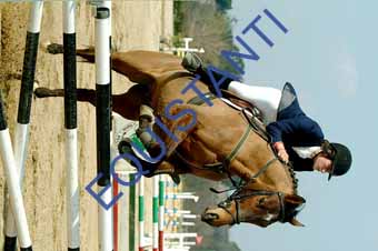 DSCF1328