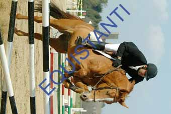 DSCF1349
