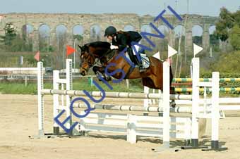 DSCF1368