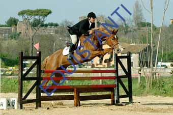 DSCF1437