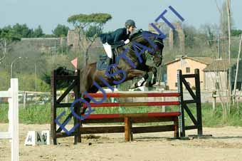 DSCF1444