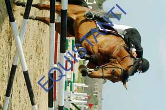 DSCF1490